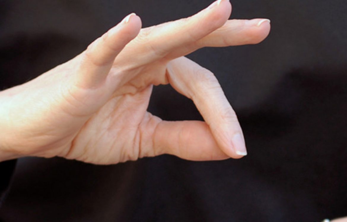 Traduttore nella lingua dei segni… una lingua a tutti gli effetti