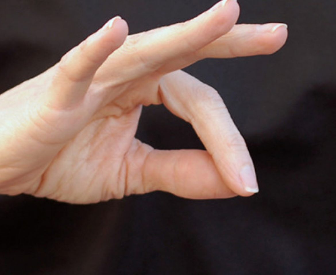 Traduttore nella lingua dei segni… una lingua a tutti gli effetti
