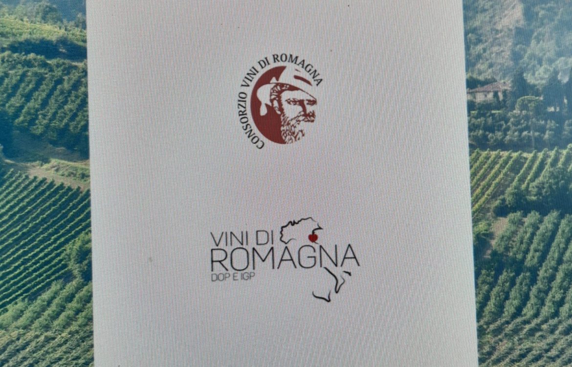 Vini di Romagna tradotti in inglese
