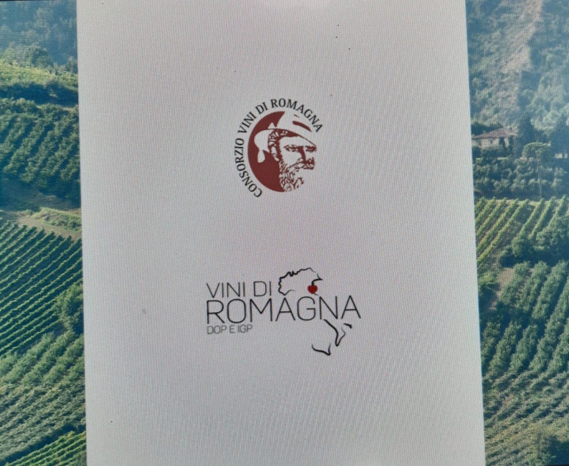 Vini di Romagna tradotti in inglese