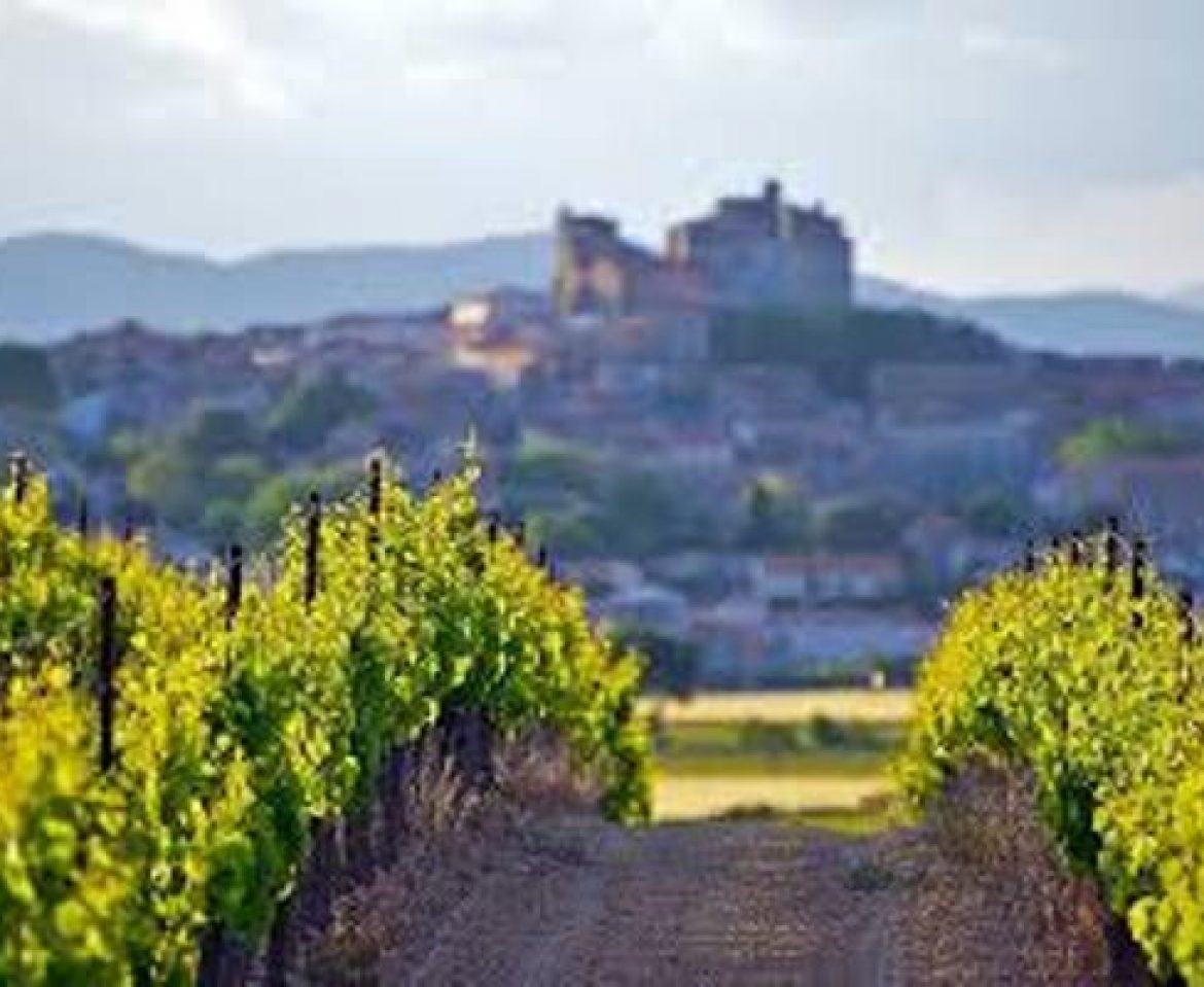 Tourisme œnogastronomique: comment attirer les étrangers ?