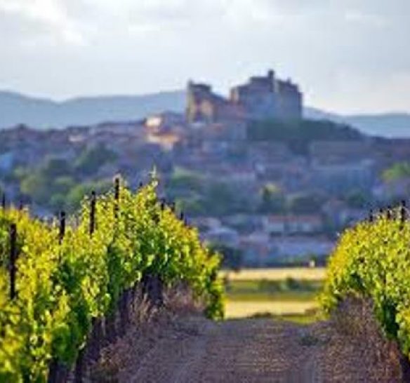 Tourisme œnogastronomique: comment attirer les étrangers ?