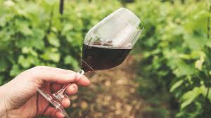 Un traduttore specializzato per parlare di vino
