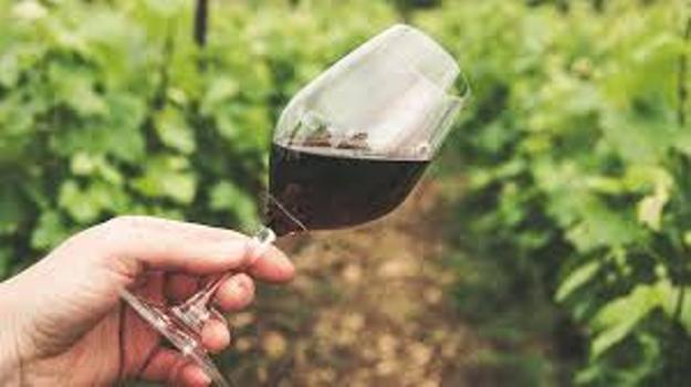 Pourquoi il est difficile de traduire le vin?