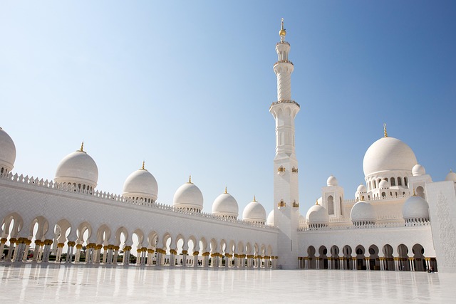 Why is the translation into Arabic different from the translation into other languages?