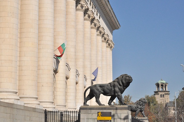 Traduttore bulgaro italiano in ambito tecnico