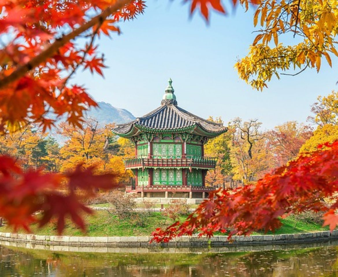 Traduttore coreano italiano in ambito tecnico